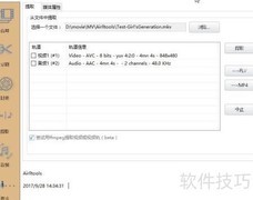 Airlltools无损转MKV到MP4
