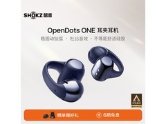 韶音E310暮光紫耳机，国补后724元