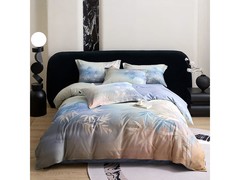 兰芮100支刺绣四件套189元