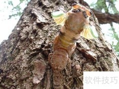 五一乡村游：小众美景推荐