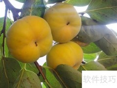 五一乡村游：小众美景推荐
