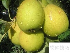 电商赋能乡村旅游新引擎