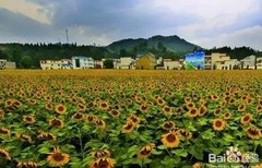 打造乡村旅游新路径