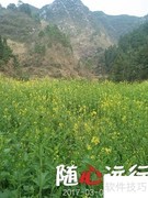 乡村旅游发展新策略