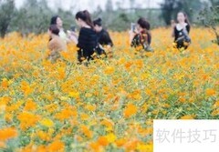 全域旅游发展新路径