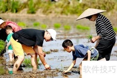 朗基赋能乡村发展新路径