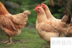 乡村旅游推广妙招