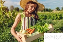 乡村振兴中的创业新机遇