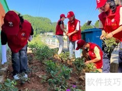 中学生助力乡村振兴