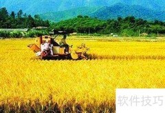 乡村振兴摘要撰写指南