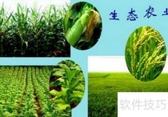 乡村振兴实施路径解析