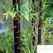 口笛制作图解