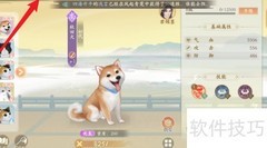 凌云诺宠物养成指南