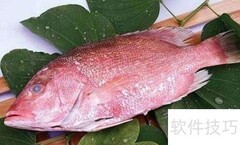 红笛鲷快速鉴别技巧