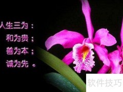 音画人生：PS格言教程