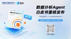 瓴羊重磅发布：2025数据分析Agent白皮书