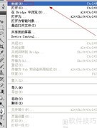 家谱图表制作指南