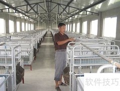 养猪场管理四大关键