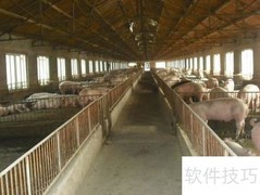 养猪场管理四大关键