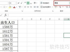 Excel文本格式设置方法