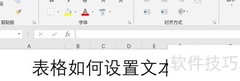 表格文本格式设置技巧
