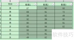 Excel文本格式设置方法