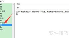 Excel文本格式设置方法