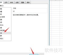 表格文本格式设置技巧