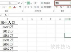 Excel文本格式设置方法