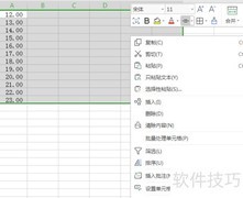 表格文本格式设置技巧