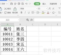 Excel文本格式设置技巧