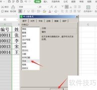 Excel文本格式设置技巧