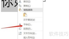 Word文本格式设置技巧