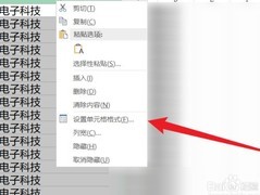 数字转文本格式技巧