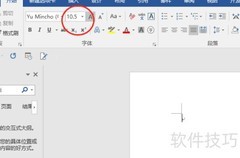 文本格式设置技巧