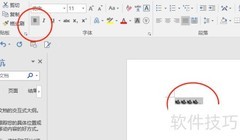 文本格式设置技巧