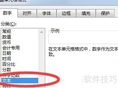 Excel中文本格式是什么