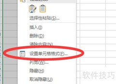 Excel中文本格式是什么