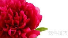 富贵红养护全攻略