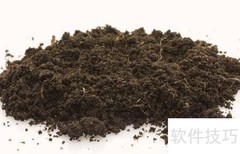 富贵树施肥技巧