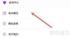 给软件隐藏大师提建议技巧