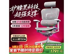 Ergonor金豪B 2代电脑椅低价带回家