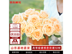 京东10枝新鲜玫瑰23.9元