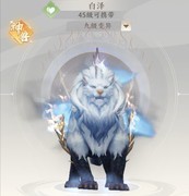 天龙八部2：白泽血宠打造全攻略