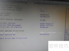 BIOS中无硬盘选项