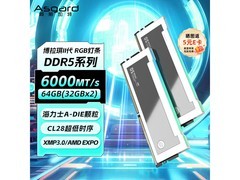 阿斯加特博拉琪II代64GB DDR5内存低价购