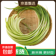 金乡现摘现发蒜苔，500克仅8.99元速来抢！