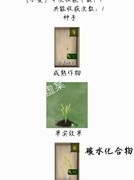 挨饿荒野全作物种植攻略
