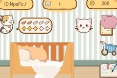 猫宅97：新手铲屎官入门指南