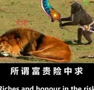 想不想修真群殴大佬玩法上线